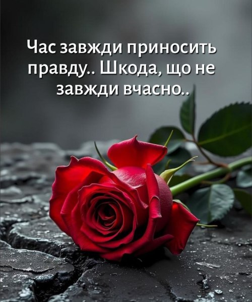 Мудрі слова