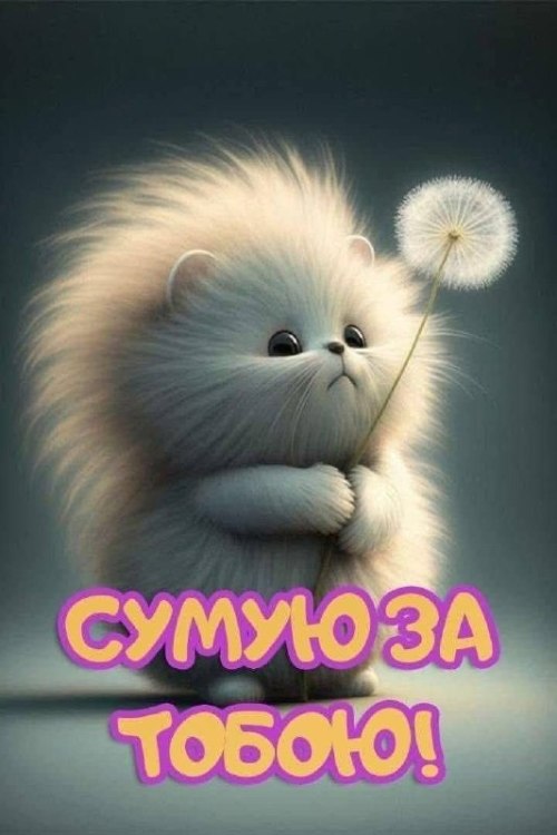 любов