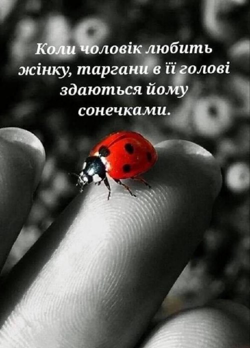 Мудрі слова