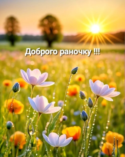 Доброго ранку