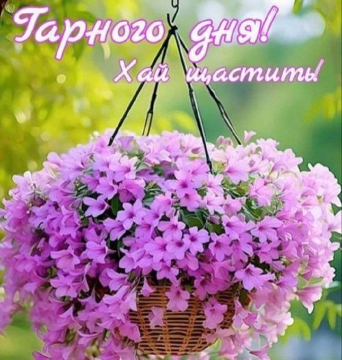 Гарного дня