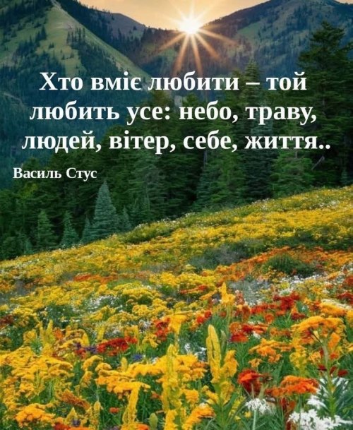 Мудрі слова, цитати