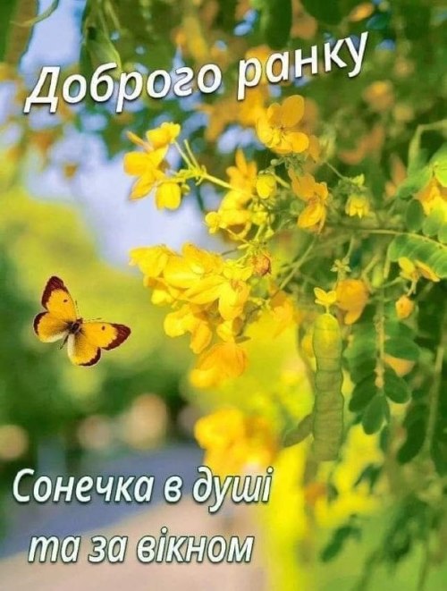Доброго ранку
