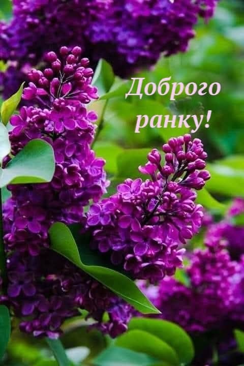 Доброго ранку