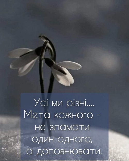 Мудрі слова