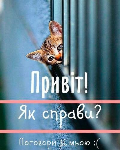 Привіт
