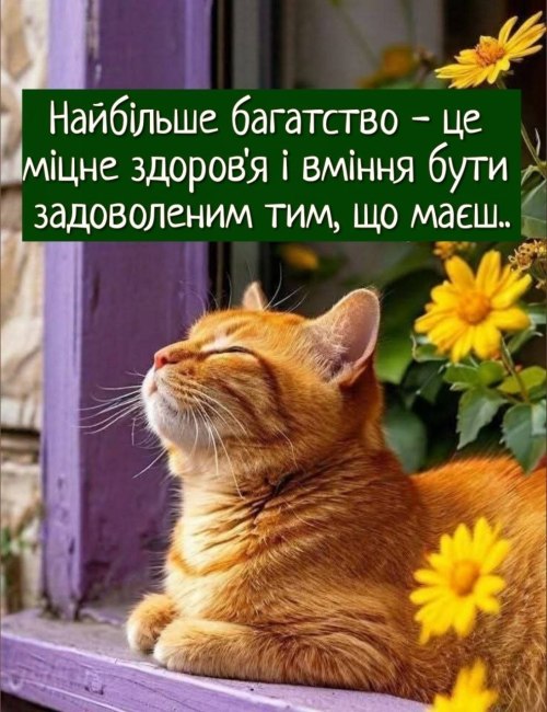 Мудрі слова