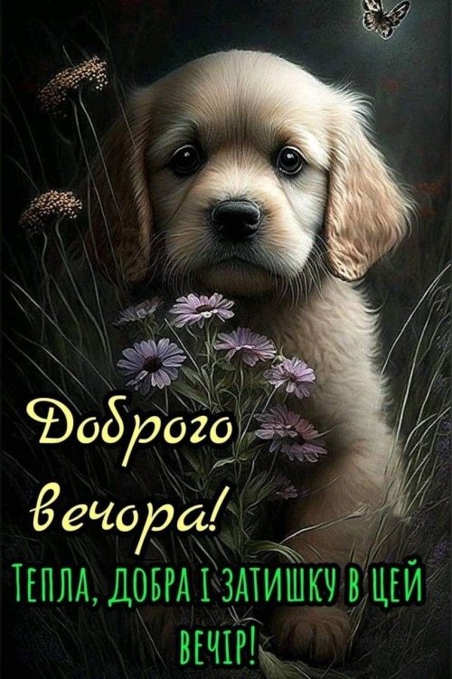 свята, свято, історія свята, З днем народження