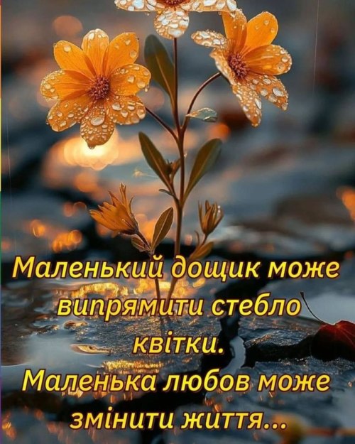 Мудрі слова