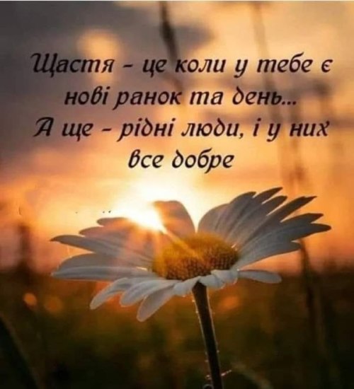 Мудрі слова