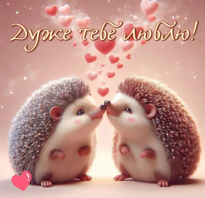 любов