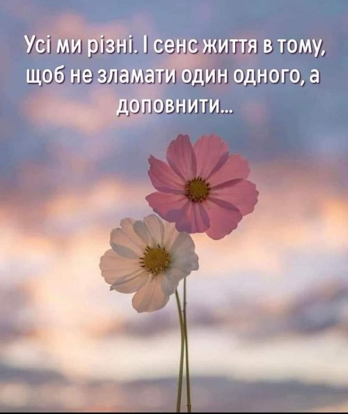 Мудрі слова