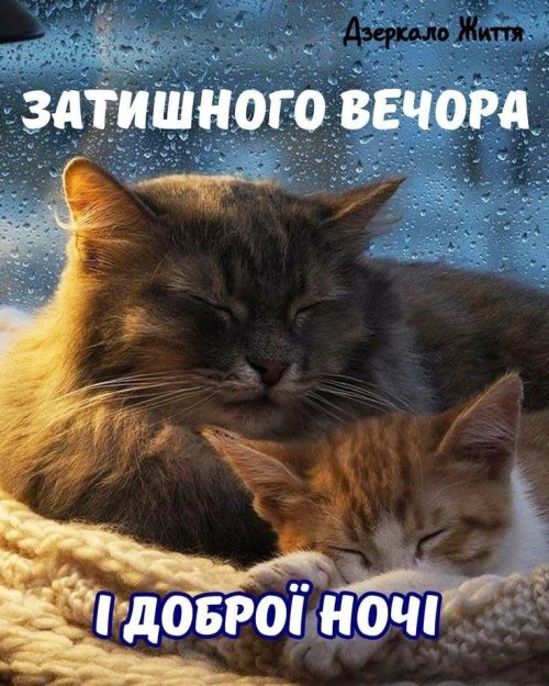 Гарного вечора