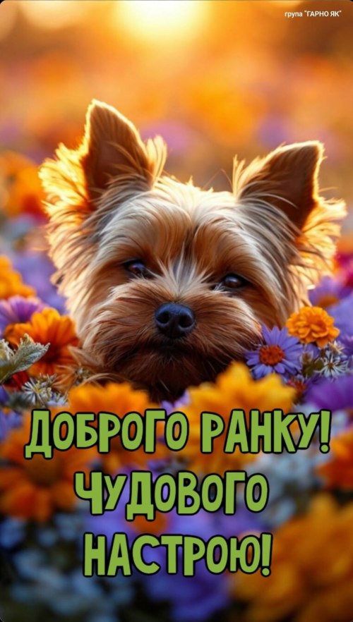 Доброго ранку