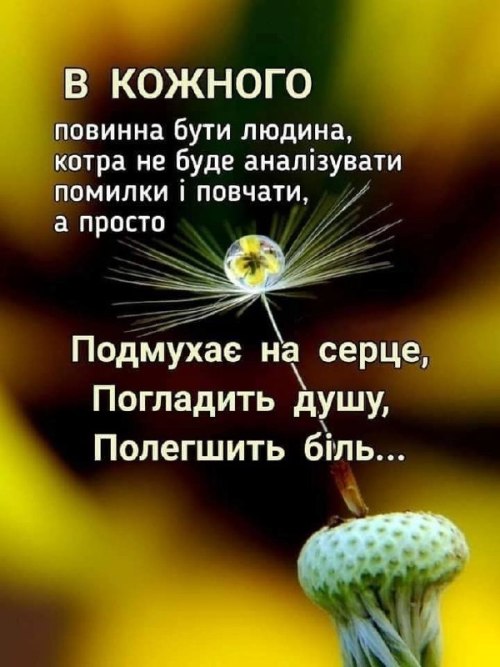 Мудрі слова