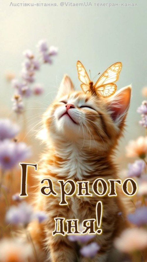 Гарного дня
