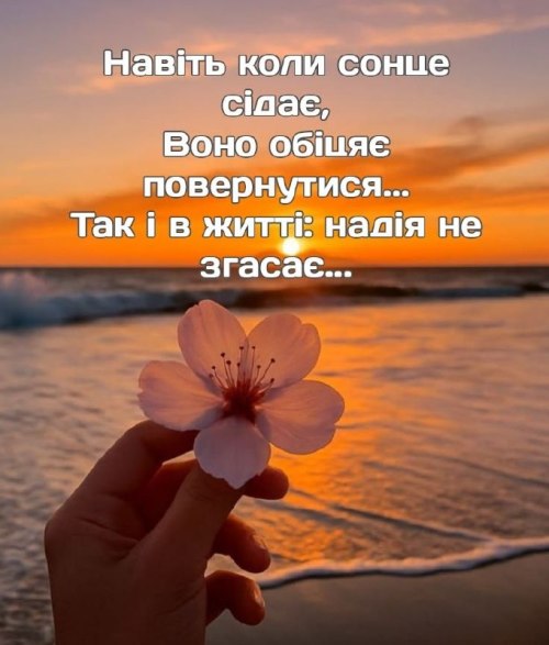 Мудрі слова