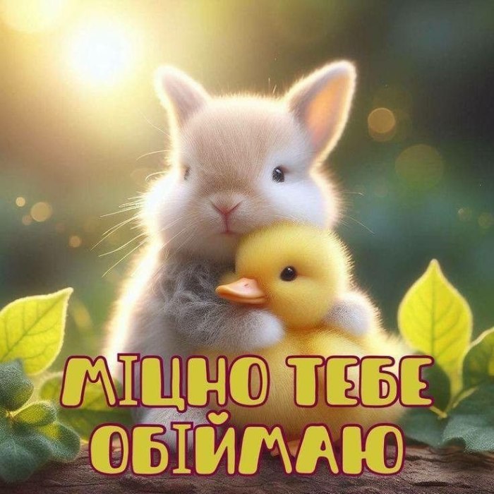любов