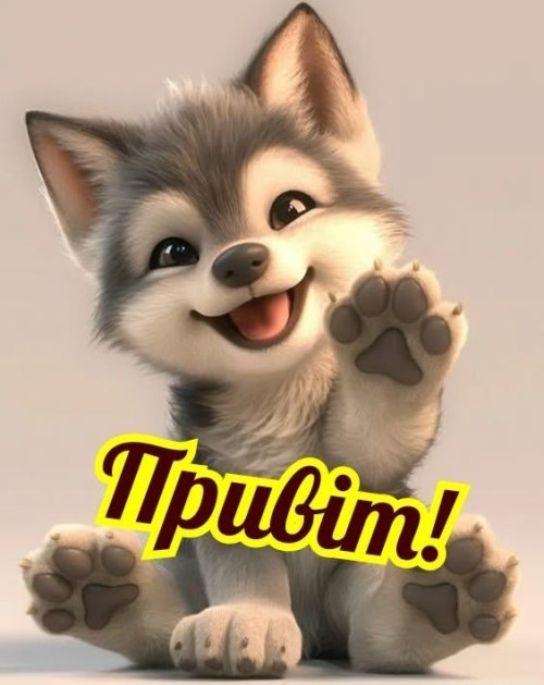 любов