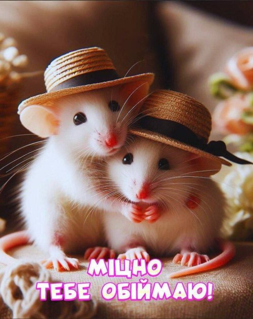 любов