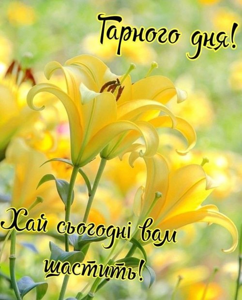 Гарного дня