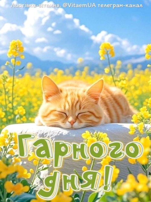 Гарного дня