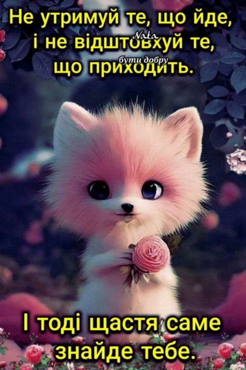 свята, свято, історія свята, З днем народження