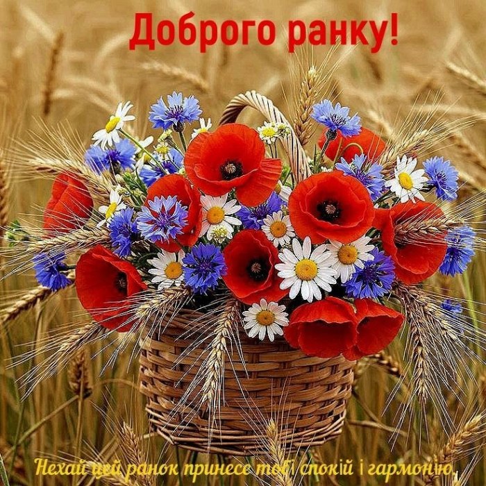 Доброго ранку