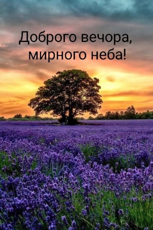 Гарного вечора