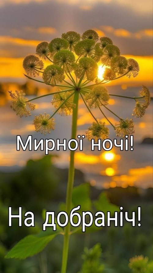 свята, свято, історія свята, З днем народження