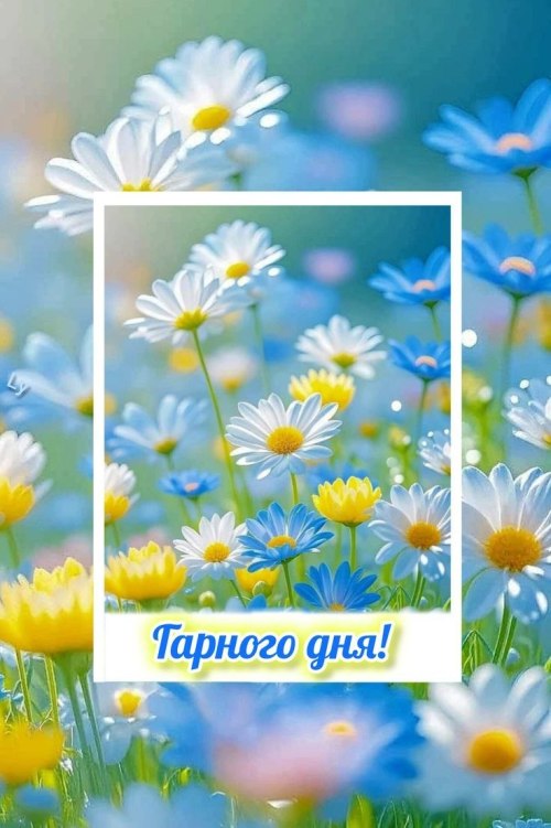 Гарного дня