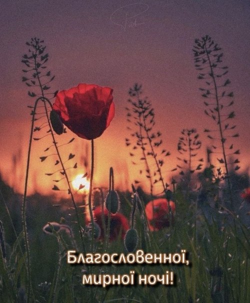 свята, свято, історія свята, З днем народження