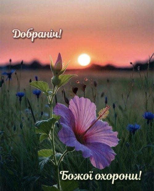Добраніч