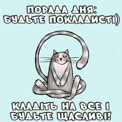 Мудрий кіт, поради, мудрощі від кота