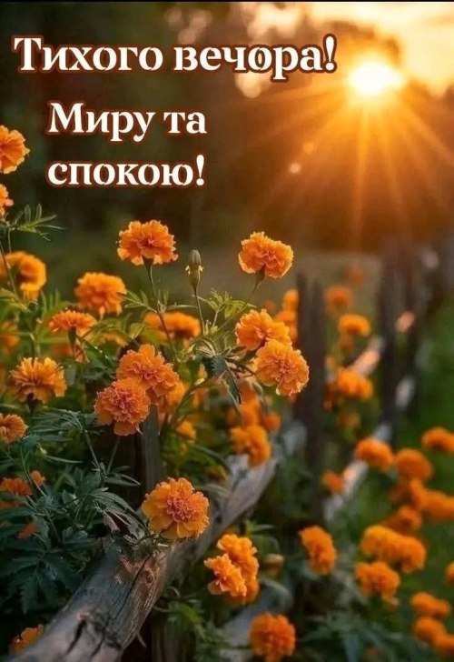 Гарного вечора