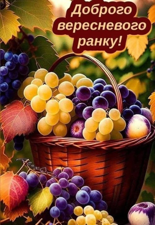 Доброго ранку