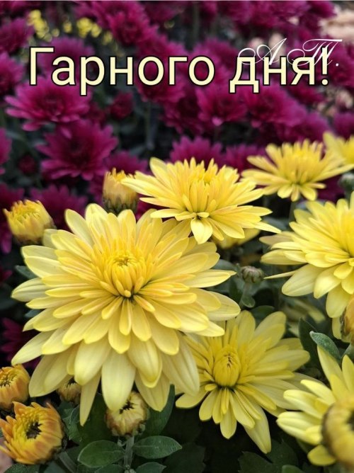 свята, свято, історія свята, З днем народження