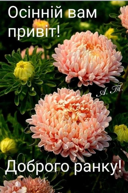 Доброго ранку