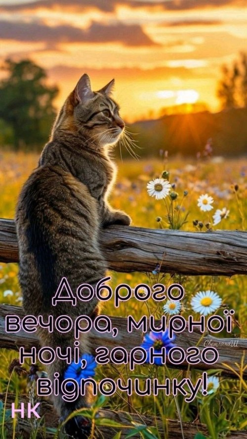 Гарного вечора