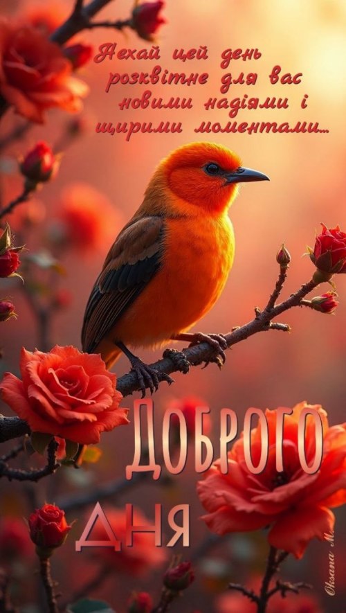 свята, свято, історія свята, З днем народження