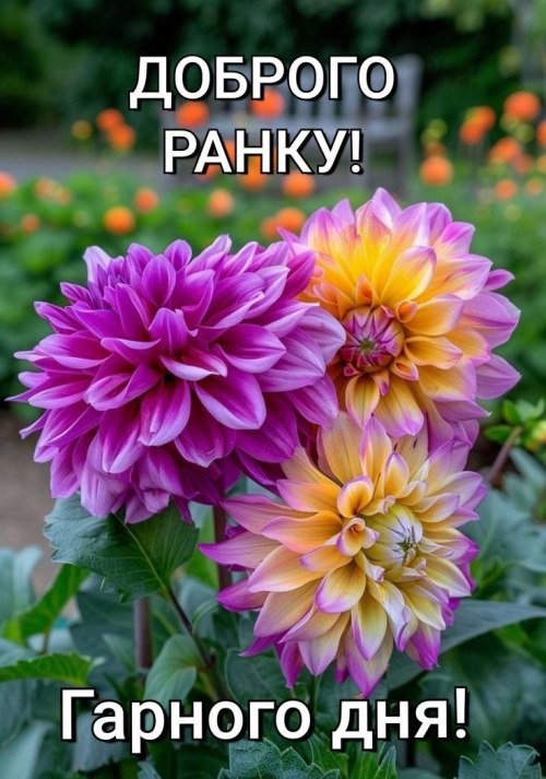 Доброго ранку