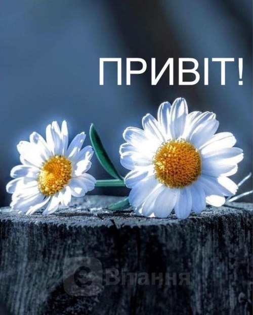 Привіт