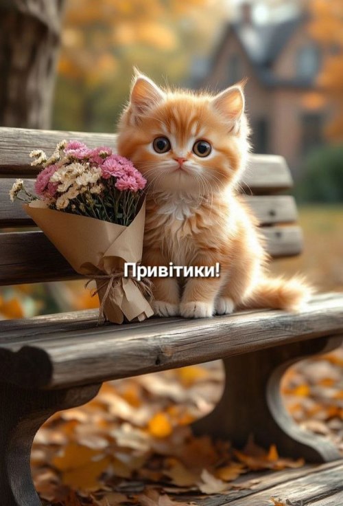 Привіт