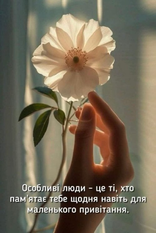 Мудрі слова