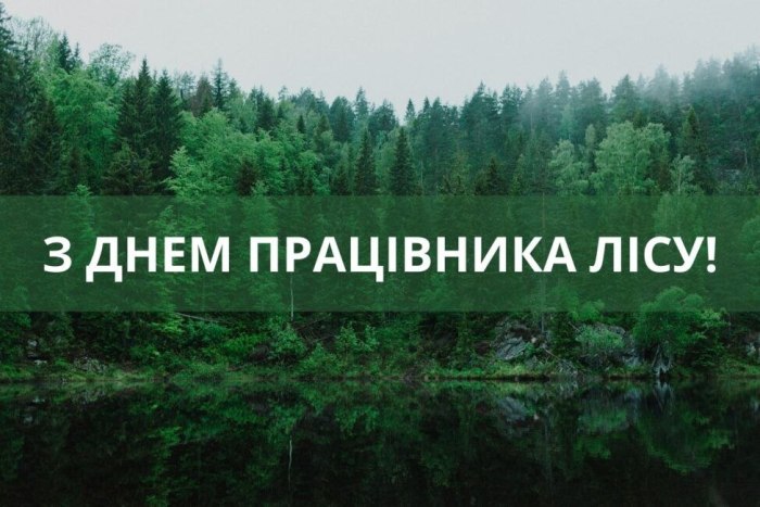 професійне свято, лісник