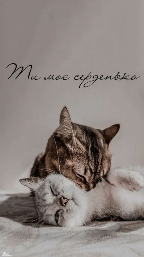 Любов