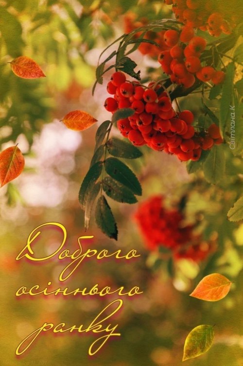 Доброго ранку