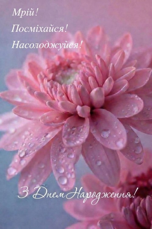 З днем народження