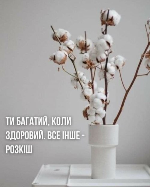 Мудрі слова