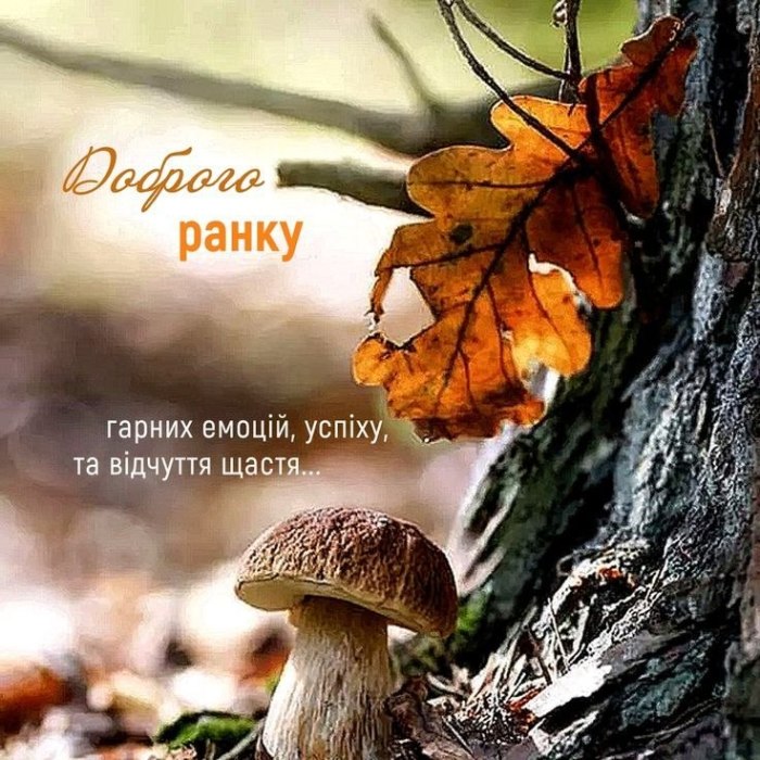 Доброго ранку